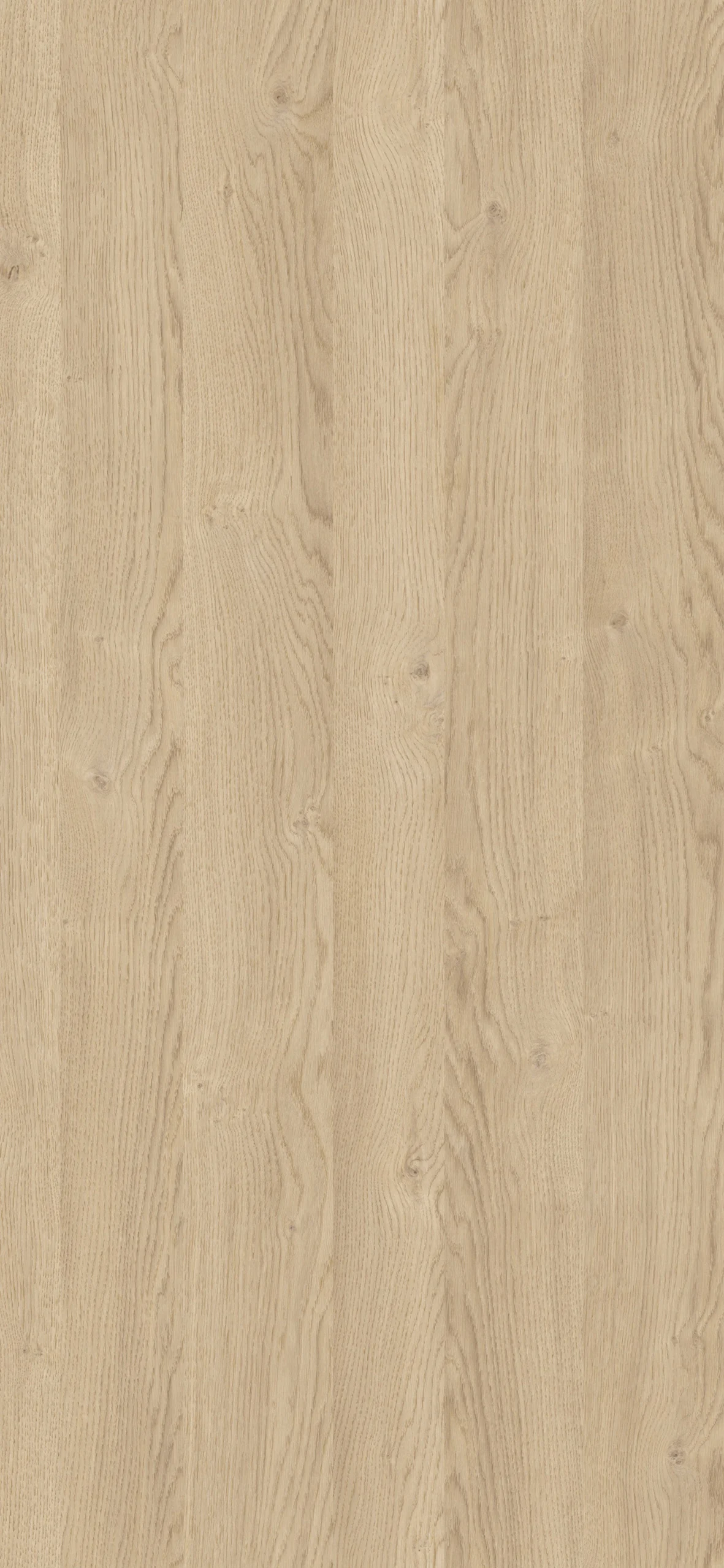 Blat kuchenny wiórowy Swiss Krono D4032 OW DĄB BISZKOPTOWY 4100 x 600 x 38 mm