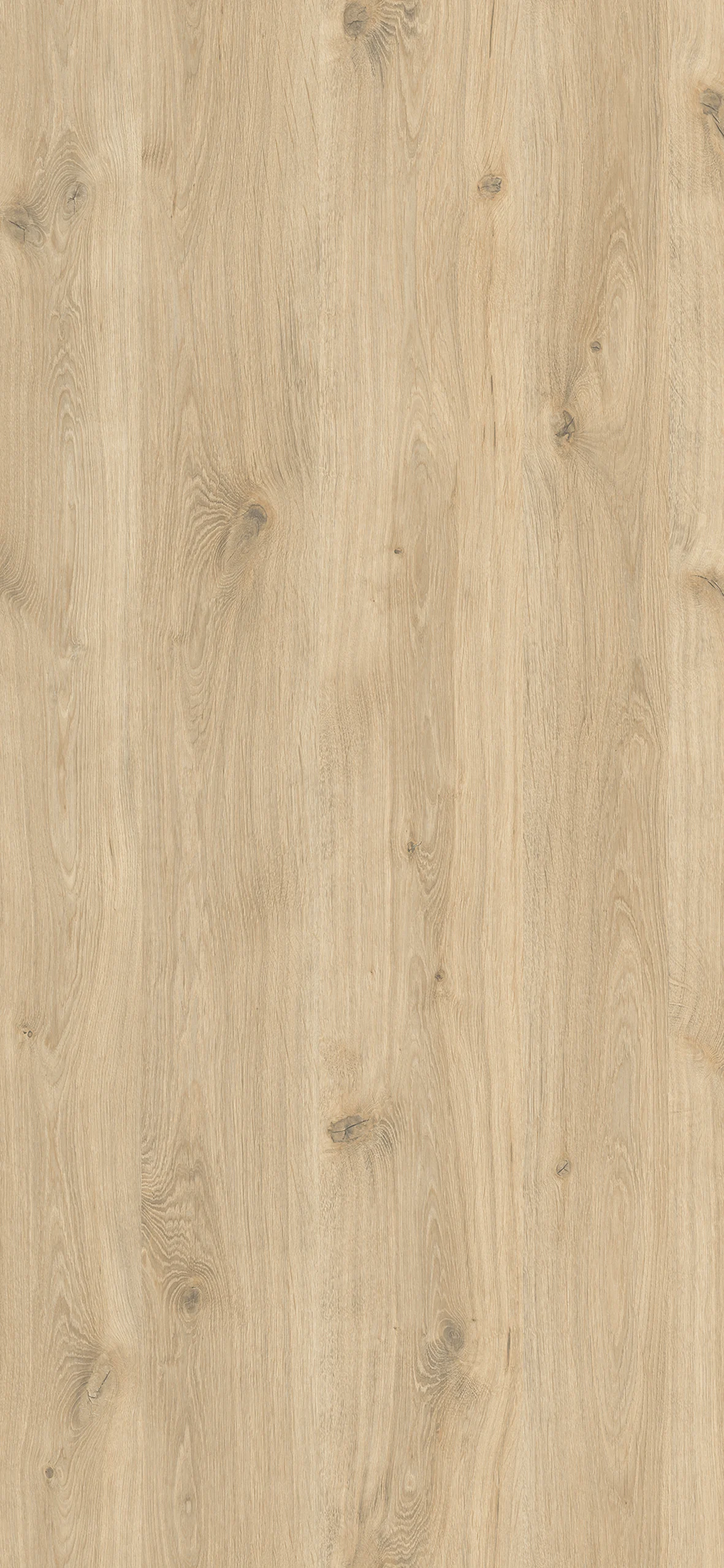 Blat kuchenny wiórowy Swiss Krono D4428 OV DĄB NATURALNY 4100 x 600 x 38 mm