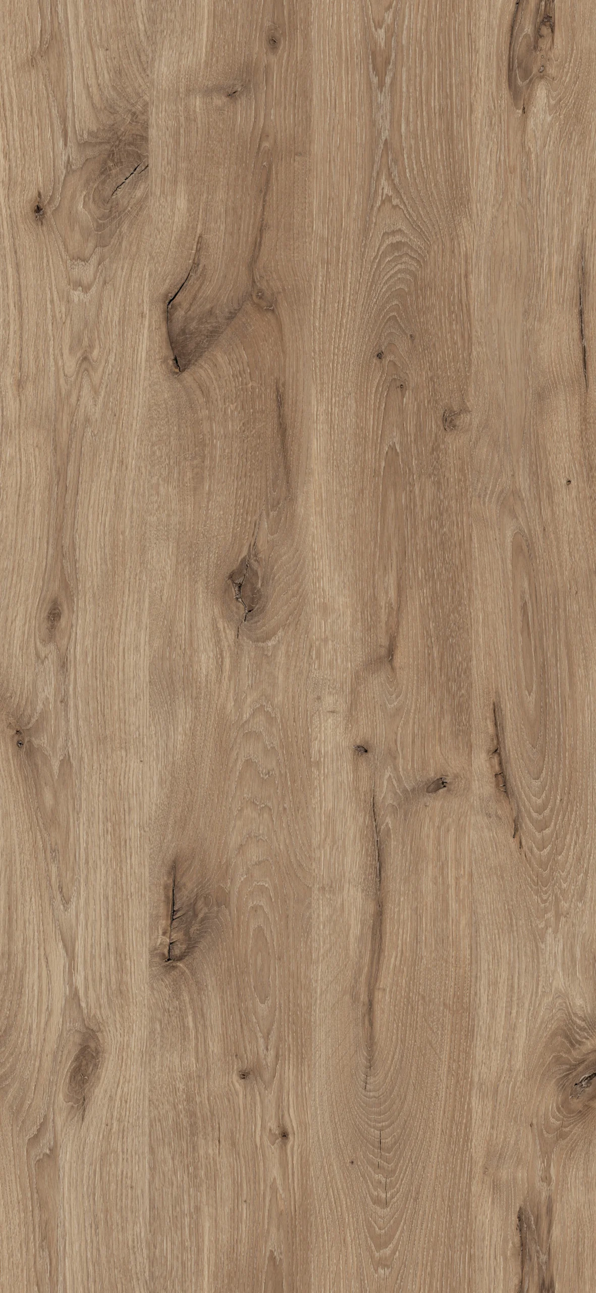 Blat kuchenny Swiss Krono D1094 NA DĄB LATTE - z prostą krawędzią ABS 4100 x 650 x 38 mm